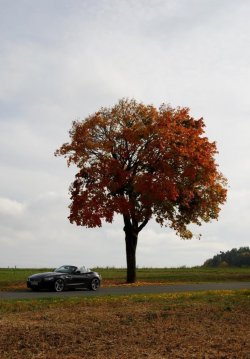DSC_0137k.jpg