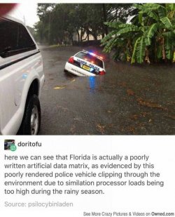 1444477637742.jpg