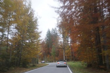 <Ohne Titel> 032.jpg