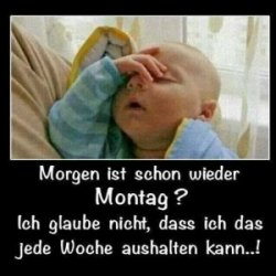 Nein nicht schon wieder.....jpg