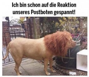 2Aufzeichnen.JPG