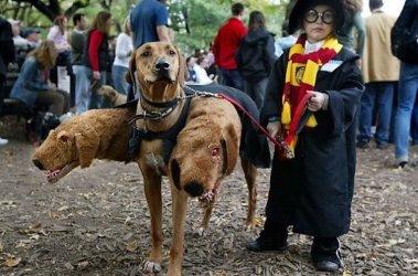Lustige_Halloween-Kostueme_fuer_Tiere_14.jpg