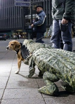 Lustige_Halloween-Kostueme_fuer_Tiere_10.jpg