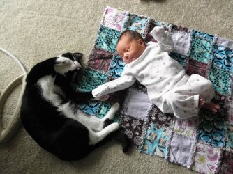 Deshalb_brauchen_Babys_eine_Katze_17.jpg