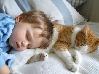 Deshalb_brauchen_Babys_eine_Katze_11.jpg