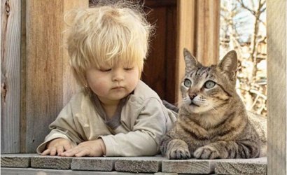 Deshalb_brauchen_Babys_eine_Katze_15.jpg