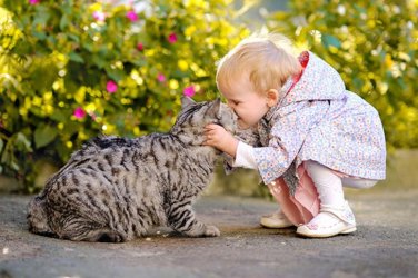 Deshalb_brauchen_Babys_eine_Katze_12.jpg