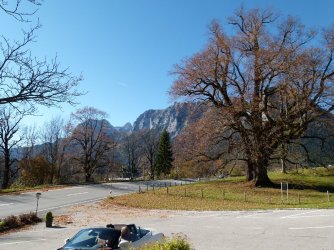 Linde3.jpg