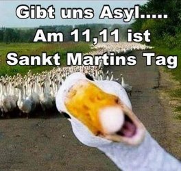 1Aufzeichnen.JPG