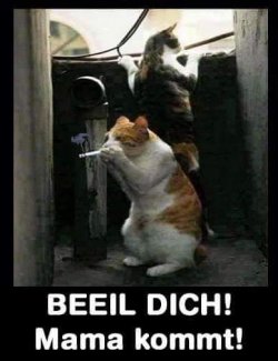 Mama_kommt.jpg