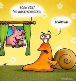 Nacktschnecke.jpg