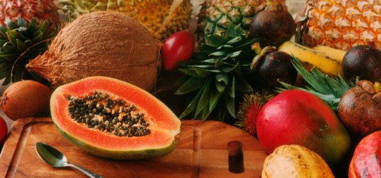 Orkos_FruitsPapaya.jpg