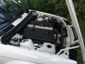 011 (Medium).JPG 011 (Medium).JPG