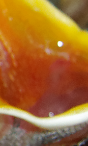 upload_2015-11-21_8-59-29.png
