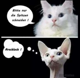 Bild 5.jpg