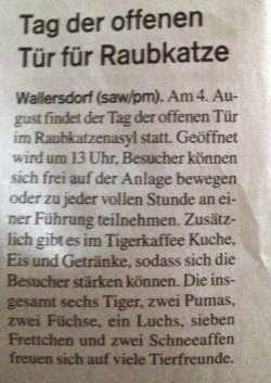 1Aufzeichnen.JPG