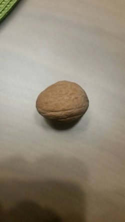 1448397156475.jpg