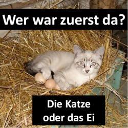 Katze_oder_Ei.png