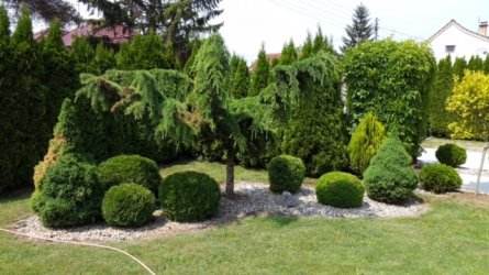 ImageUploadedByzroadster.com1448993814.424463.jpg ImageUploadedByzroadster.com1448993814.424463.jpg