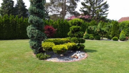 ImageUploadedByzroadster.com1448993826.400703.jpg ImageUploadedByzroadster.com1448993826.400703.jpg