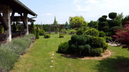 ImageUploadedByzroadster.com1448993843.440654.jpg ImageUploadedByzroadster.com1448993843.440654.jpg