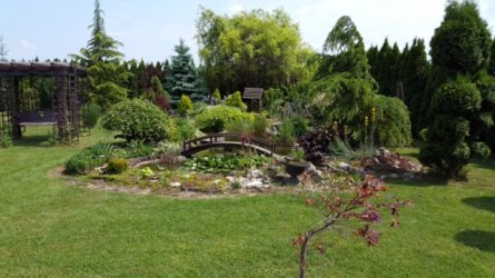 ImageUploadedByzroadster.com1448993920.920911.jpg ImageUploadedByzroadster.com1448993920.920911.jpg