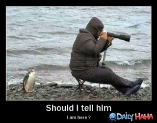 should-i-tell-him.jpg