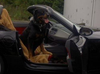 Marlo 005.jpgforum.jpg