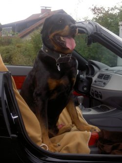 Marlo 008.jpgforum.jpg