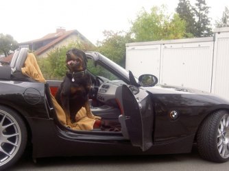 Marlo 001.jpgforum.jpg NEU.jpg