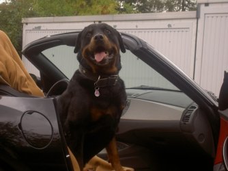 Marlo 003.jpgforum.jpgNEU.jpg