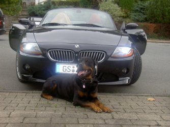 Marlo 012.jpgforum.jpgNEU.jpg