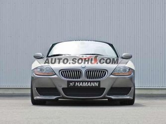 hamann.jpg