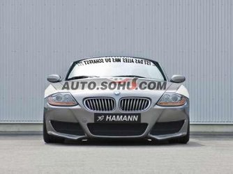 hamann.jpg