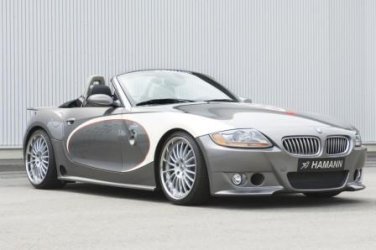 Hamann Z4klein.jpg