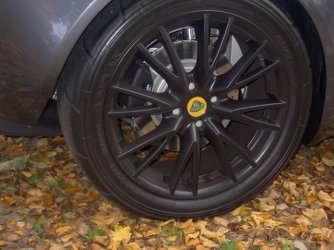 Bilder Lotus 004.jpgkleinkkk.jpg