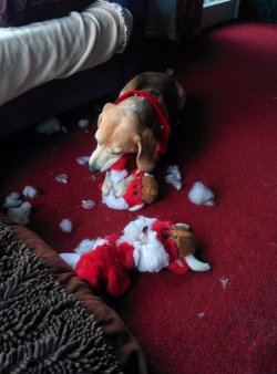 Weihnachts-Sabotage_6.jpg