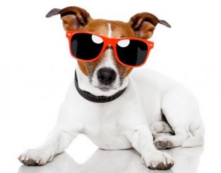 sonnenbrille.JPG
