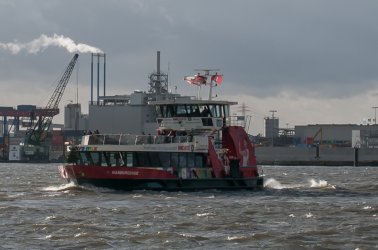 Focus1 (2 von 1)-7.jpg