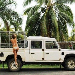 565b65f0bbb65_landyladybikini.jpg.f4b900d3aeb394f8697d812e3a9bee3b.jpg