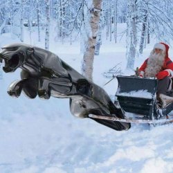 Mit der Katze unterwegs....jpg