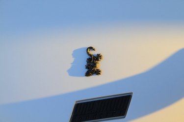 IMG_8424k.jpg