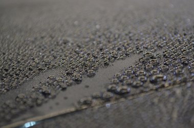 DSC_0157..jpg