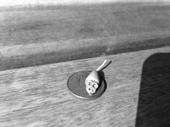 image.jpeg image.jpeg