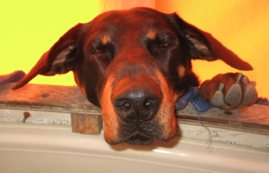 Bildschirmfoto 2015-12-31 um 16.15.43.png