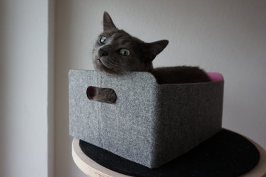 image.jpeg