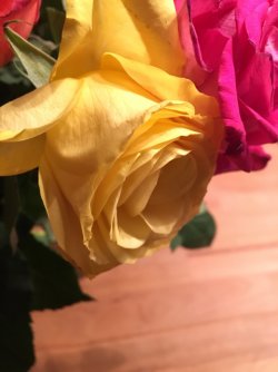 ImageUploadedByTapatalk1452019163.409800.jpg