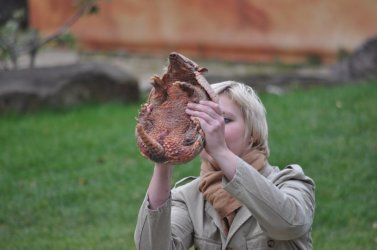 Zoo_2012 (47).JPG
