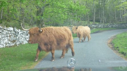 image.jpeg image.jpeg