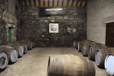 image.jpeg image.jpeg